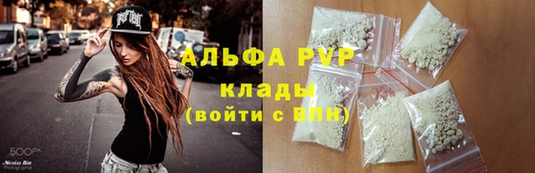 спиды Богородицк