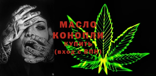 спиды Богородицк