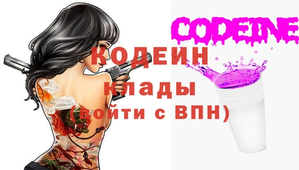 спиды Богородицк