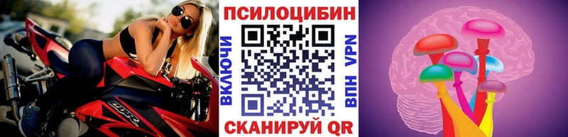 хочу   Гулькевичи  Галлюциногенные грибы Magic Shrooms 